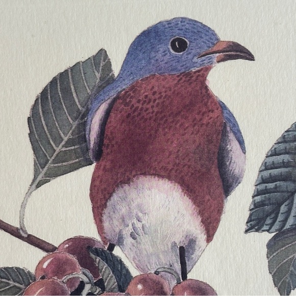 Peg Wheeler Hope Framed and Matted Bird Art Print - Picture 4 of 11